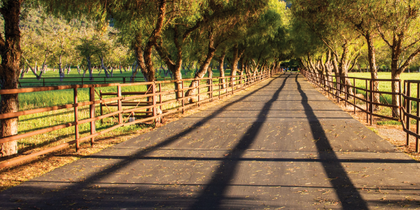 Medicare and Telehealth Visits